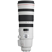 Canon EF 200-400mm f/4L IS USM Extender 1.4x